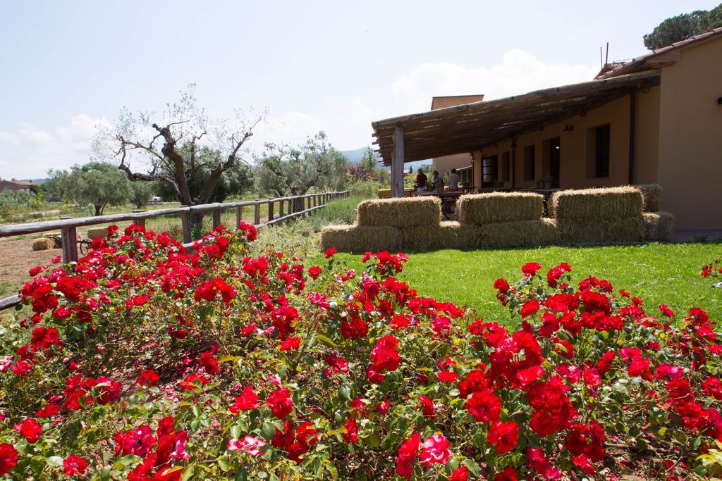 Casone Ugolino Guest House Donoratico Exterior foto