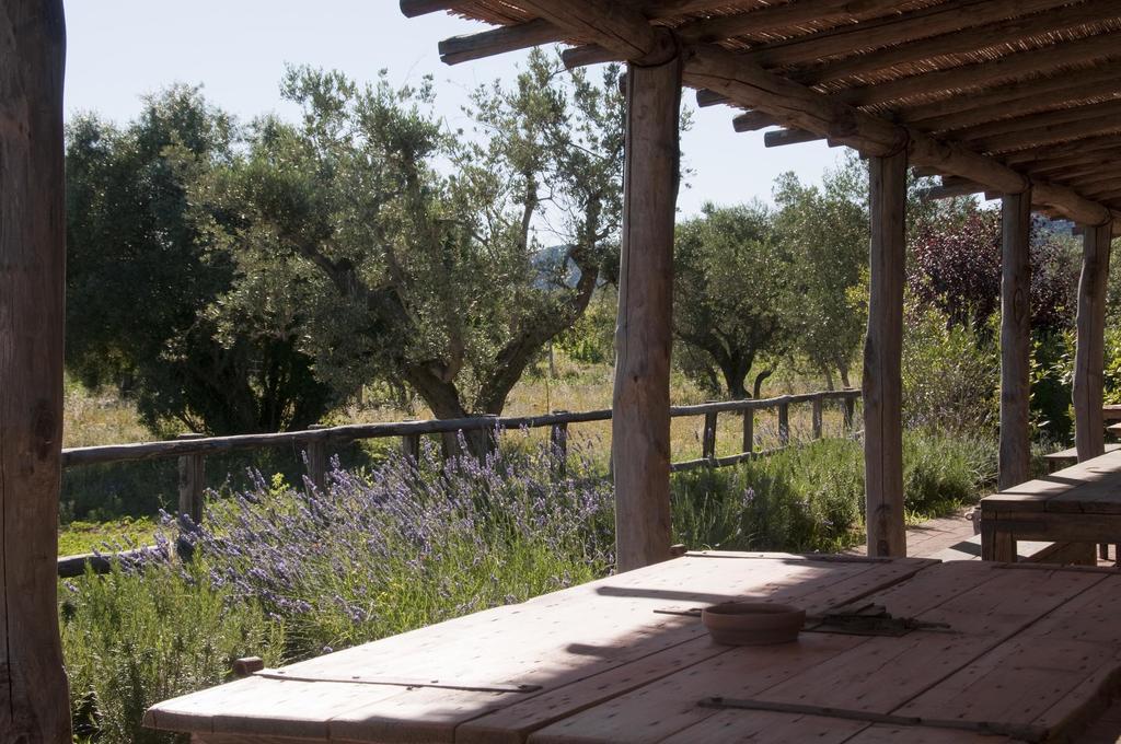 Casone Ugolino Guest House Donoratico Exterior foto