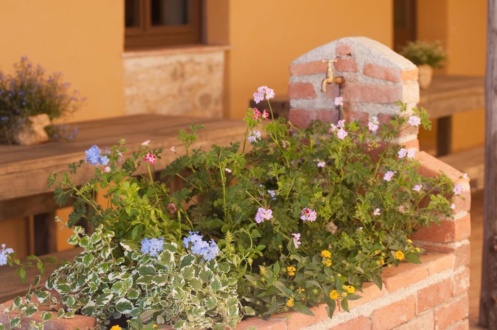 Casone Ugolino Guest House Donoratico Exterior foto
